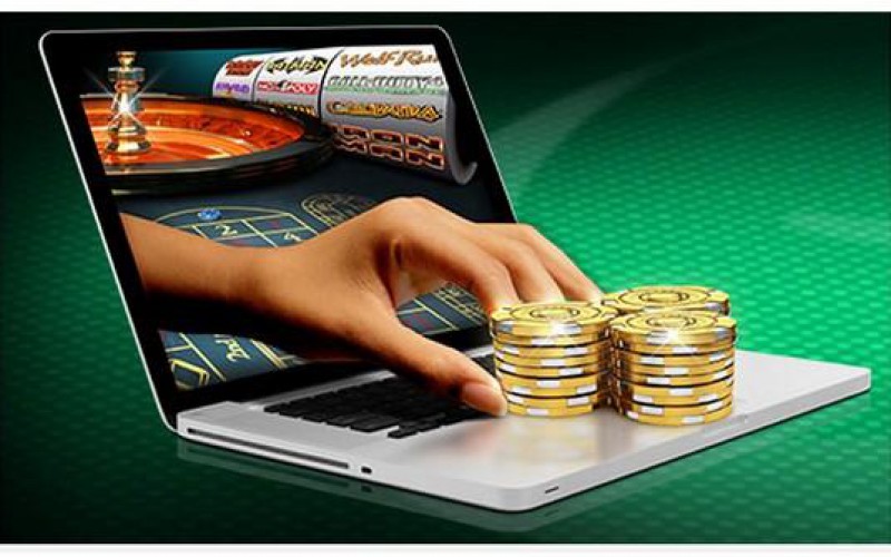 Discover the Excitement of Betn1 Casino Discover the Excitement of Betn1 Casino